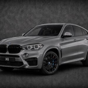 X6 F16