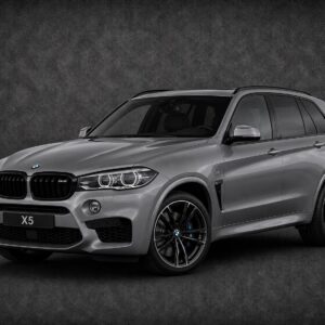 X5 F15